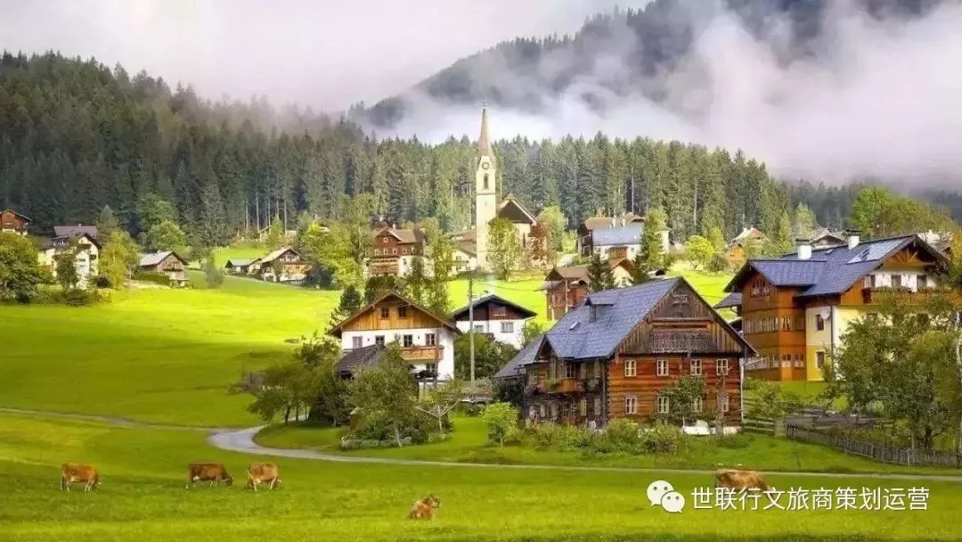 九五至尊VI老品牌值得信任 -官方网站