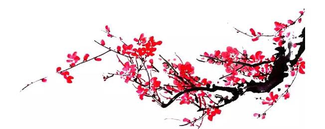 九五至尊VI老品牌值得信任 -官方网站